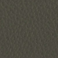 Cuero_Pelle Special_ 40 Ardesia