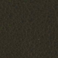 Cuero_Pelle Special_ 25 Visone