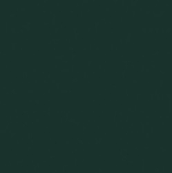 Laccato opaco_ 67 Muschio