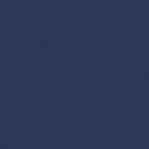 RAL 5003