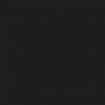 RAL 9017