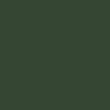 RAL 6020