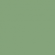 RAL 6021