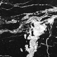 Statuario Black Marble