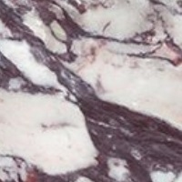 Breccia Medicea Marble