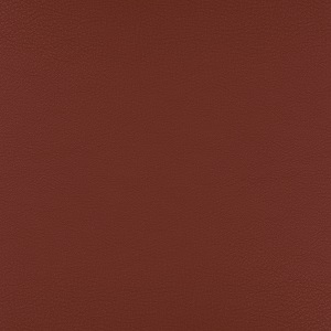 Extra Leather - 13Y251 Rosso bulgaro