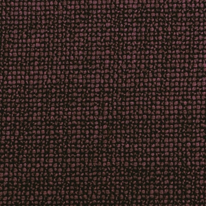 Caleo_ Cat. B_ 14 Violeta