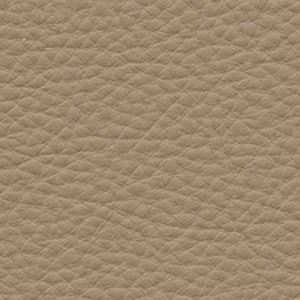 Leather_ Pelle Frau® SC_ 46 Biscuits