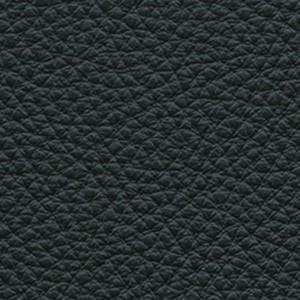 Pelle Frau® SC _10 Antracite