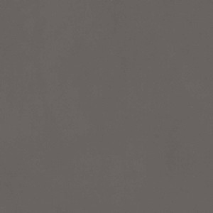 Saddle Extra Polvere