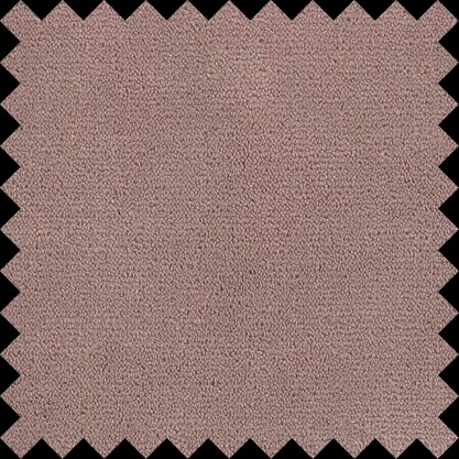 Cat. Top_ Tibouchina 05