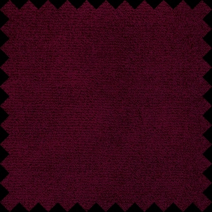 Cat. Top_ Tibouchina 10