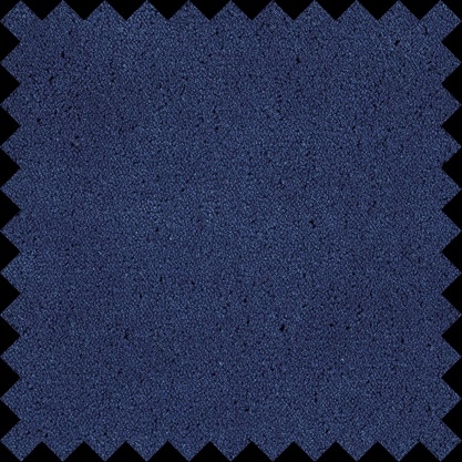 Cat. Top_ Tibouchina 16