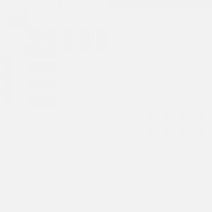 Matt painted_ Cigno 700