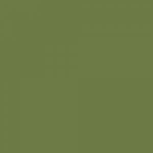 Matt painted_ Kaki 839