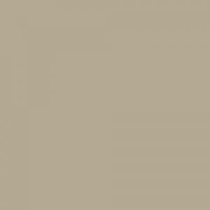 Matt painted_ Pomice 905