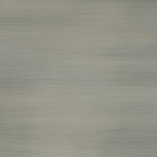 Platinum steel varnished