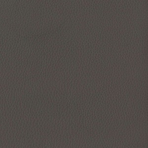 Tecnocover Grain_ 01 elefante