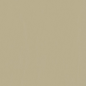 Tecnocover Grain_ 05 latte