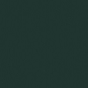 Lacado mate_ 67 Muschio