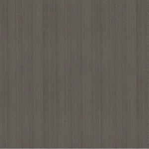 Metal lacado_ 25 Titanio