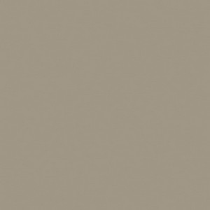 Lacado semibrillo_ 26 Corda