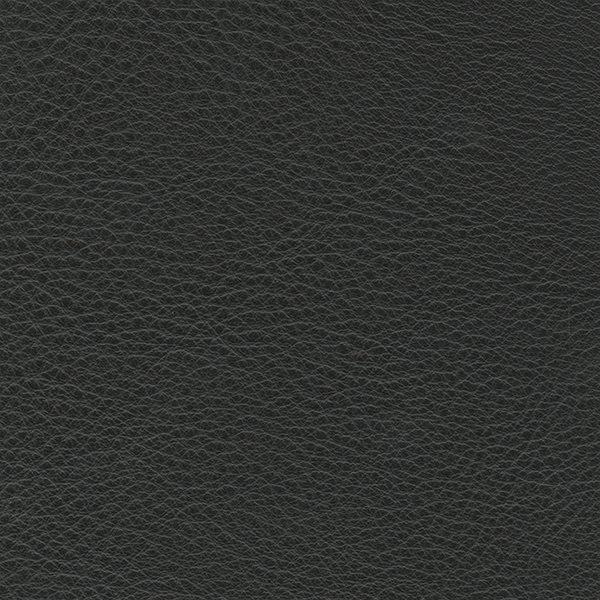Leather Plus_ 14