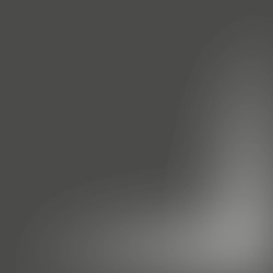 lacado brillante_ Elephant