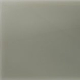 Vetro retroverniciato_ Sage