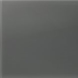 Vetro retroverniciato_ Elephant