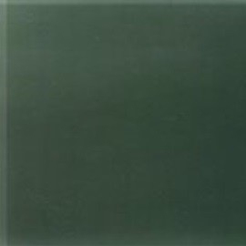 Vetro retroverniciato_ Forest