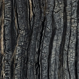 Marmo Kenya Black opaco (MR2)