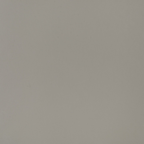 Cuero_ Pandora PD520