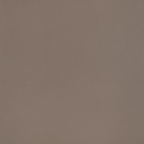 Cuero_ Pandora PD521